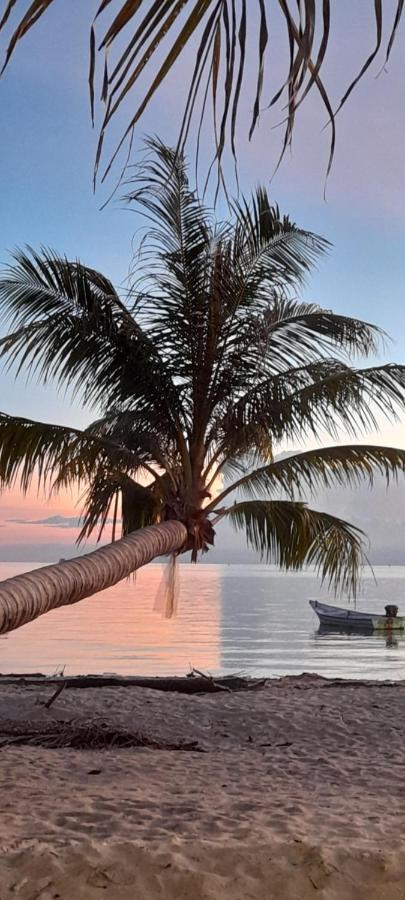 Tea Moon Beach House Тонг Сала Экстерьер фото